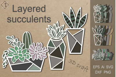 Layered succulents in pots. 3D craft.Flowers