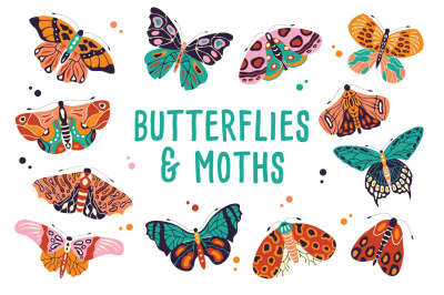 Spring Butterflies and Moths