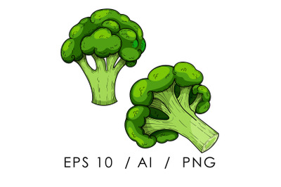 broccoli cabbage  sketch