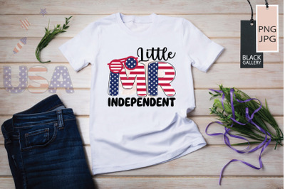 Little MR Independent Sublimation