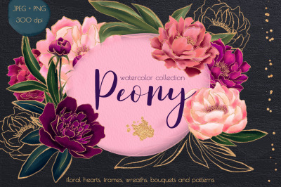 Peony watercolor clipart