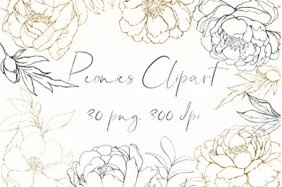 Peonies Png | Black White floral clipart Bundle | Gold Flowers.