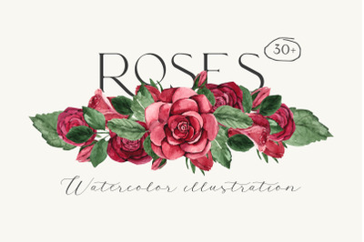 ROSES watercolor clipart