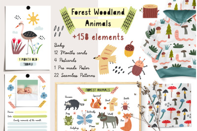Forest Woodland Animals