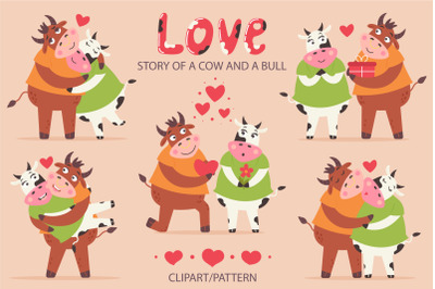 Love story cow and bull