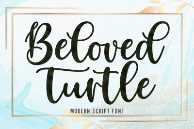 Beloved turtle