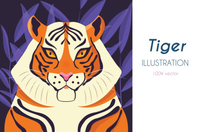 Tiger illustration, vector