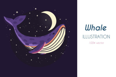Whale illustration, vector