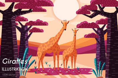 Giraffes illustration, vector