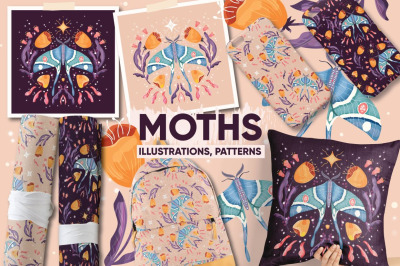Moths, graphics and seamless pattern