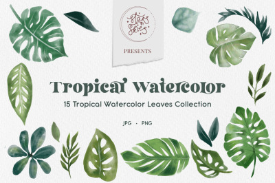 Tropical Watercolor Leaves Clipart Collection