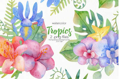 Watercolor Tropics Design