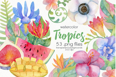 Watercolor Tropics Clipart