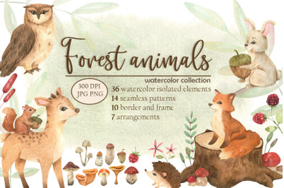 Forest animals watercolor collection