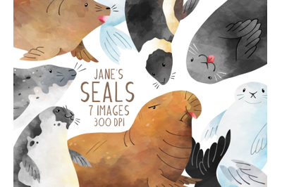 Watercolor Seals Clipart