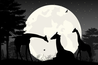 cute giraffe and moon silhouette