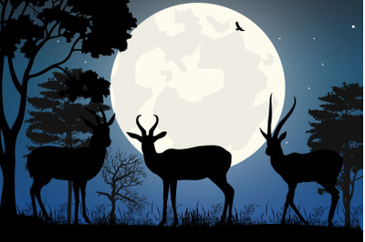 cute antelope and moon silhouette