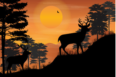 cute deer and sunset silhouette