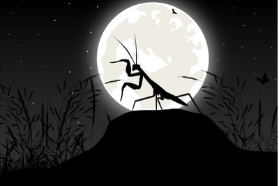 cute grasshopper and moon silhouette