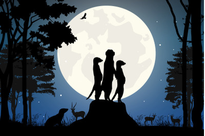 cute meerkat and moon silhouette