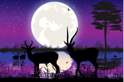 cute antelope  and moon silhouette
