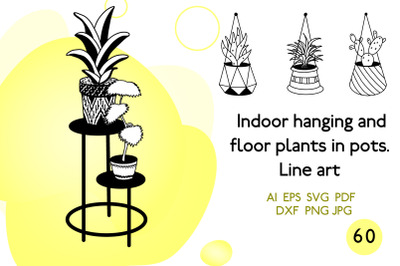 Indoor hanging and floor plants