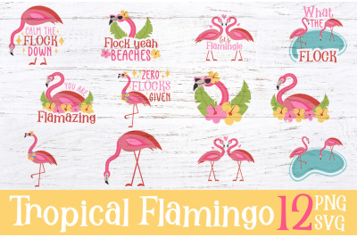 Summer Tropical Flamingo - Sublimation SVG, PNG, Cut files