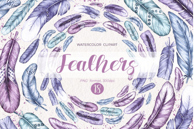 Watercolor feathers / Watercolor clipart PNG