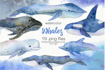 Watercolor Whales Clipart