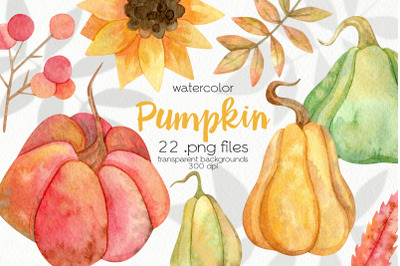 Watercolor Pumpkin Clipart - PNG Files