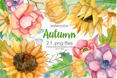 Watercolor Autumn Flowers - PNG Files