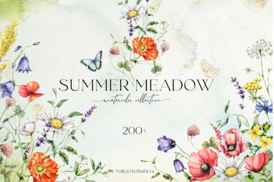 SUMMER MEADOW wildflowers watercolor collection