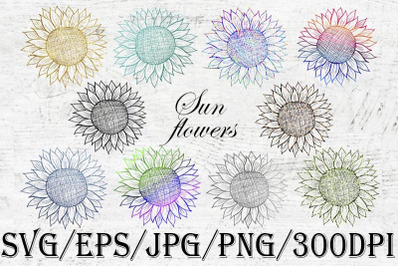 Sunflower SVG, floral, t-shirt design , summer, rainbow