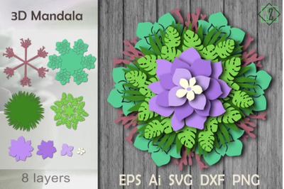 3D mandala with succulents and Monstera leaves