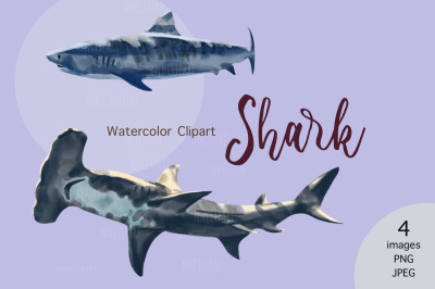 Watercolor Sharks PNG clipart, nautical digital download