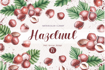 Watercolor hazelnuts / Watercolor clipart PNG