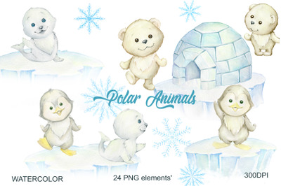 watercolor Snowflake, polar bears, penguin penguins.  digital paper cl