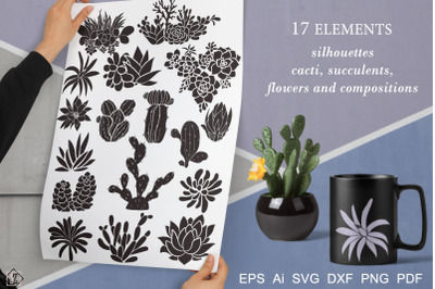 Silhouettes of cacti and succulents