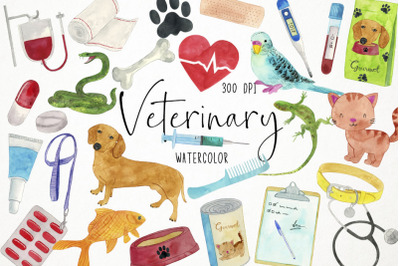 Watercolro Veterinary Clipart, Vet Clipart, Veterinary Clinic Clipart