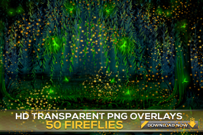 50 TRANSPARENT PNG Fireflies Overlays