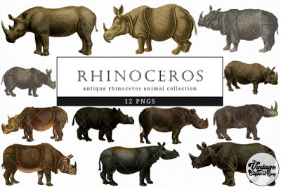 Rhinoceros  Vintage Animal illustration Clip Art, Clipart, Fussy Cut