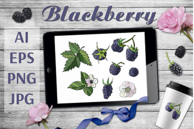 Blackberry