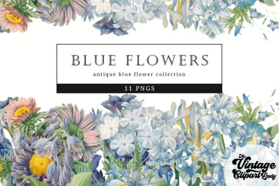 Blue Flowers Vintage Floral Botanical Clip Art