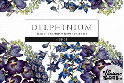 Delphinium Vintage Floral Botanical Clip Art