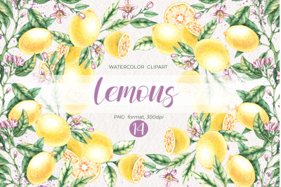 Watercolor Lemons / Watercolor clipart PNG