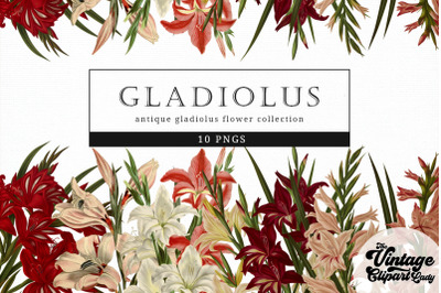 gladious Vintage Floral Botanical Clip Art
