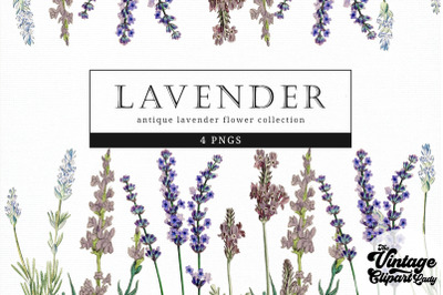 Lavender Vintage Floral Botanical Clip Art