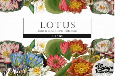 Lotus Vintage Floral Botanical Clip Art