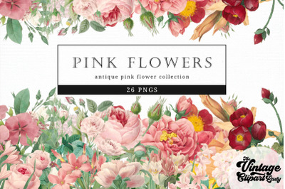 Pink Flowers Vintage Floral Botanical Clip Art