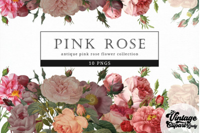 Pink Rose Vintage Floral Botanical Clip Art